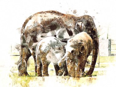 Fil sanatı illüstrasyonu eski moda.