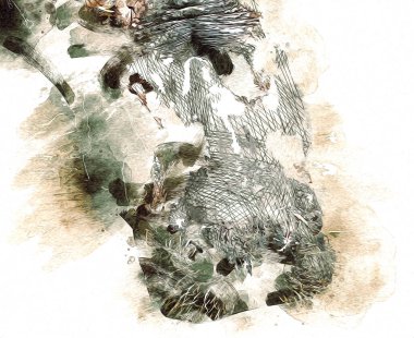 Hippo illüstrasyon sanatı klasik tasarım çizer