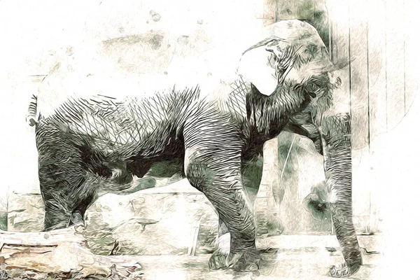 Elefantkonst Illustration Retro Vintage Gammal — Stockfoto