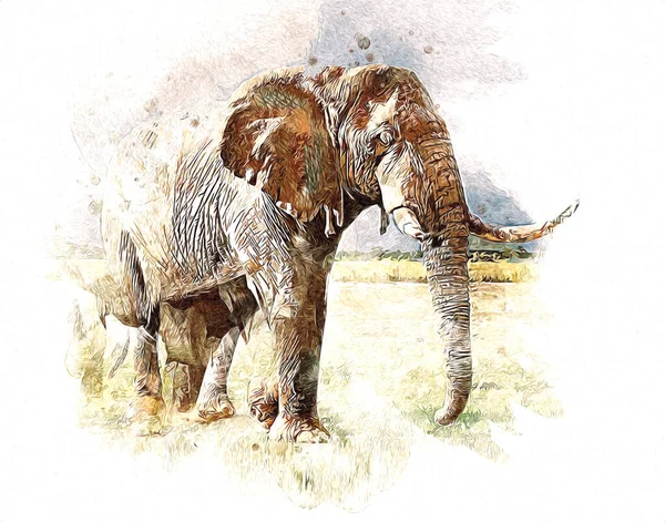 Elephant art illustration retro vintage old