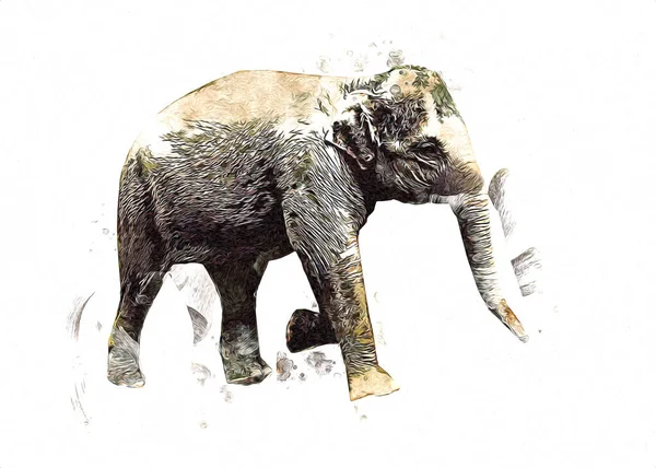 Иллюстрация Слона Ретро Винтажные Старые — стоковое фото