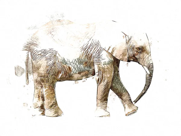 Elephant Art Illustration Rétro Vintage Vieux — Photo