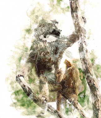 Ağaçların renkli çizimlerinde gerçekçi bir maymun.