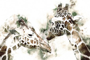 Zürafanın resim çizimi