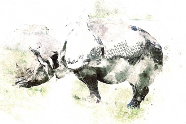 Afrikaanse Savanne Dierlijke Neushoorn Cartoon Stijl Educatieve Zoölogie Illustratie — Stockfoto