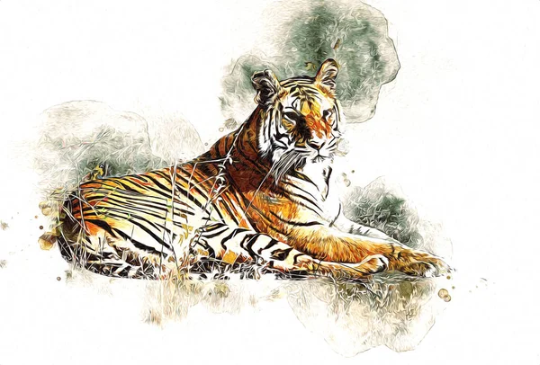 Tigre Arte Illustrazione Colore Vintage Grunge Retro — Foto Stock