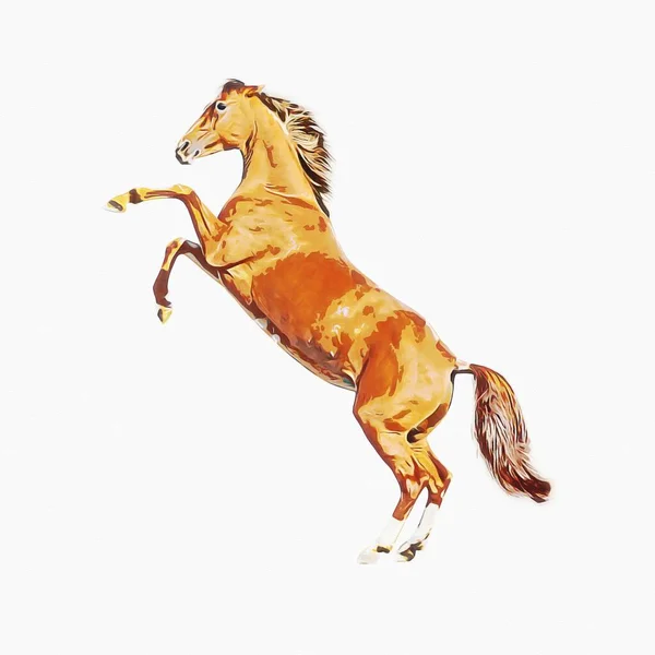 Colorful Horse Art Illustration Grunge Painting — Stock Photo, Image