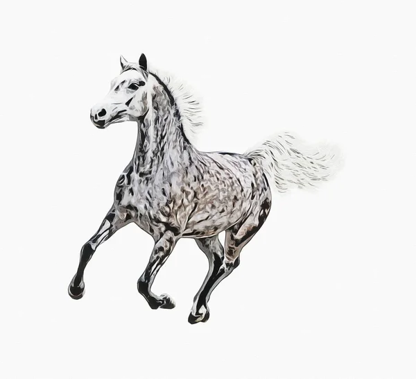 Colorido Caballo Arte Ilustración Grunge Pintura —  Fotos de Stock