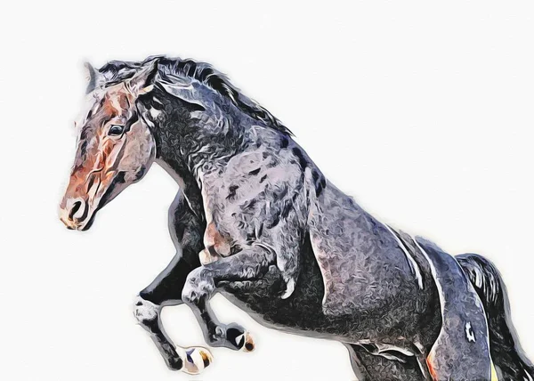 Colorido Caballo Arte Ilustración Grunge Pintura —  Fotos de Stock