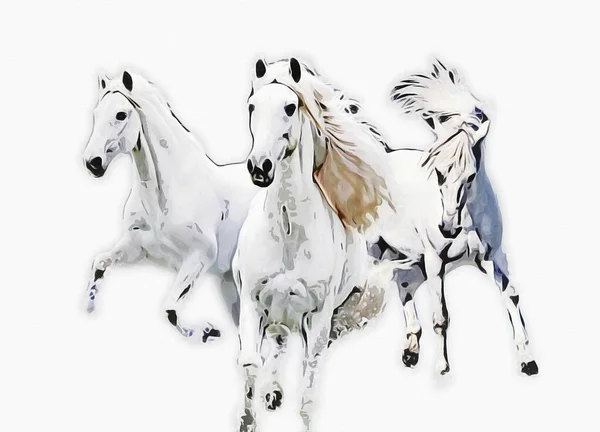 Illustration Art Cheval Coloré Peinture Grunge — Photo