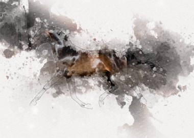 El yazması at başlı kalem çizim çizer grunge