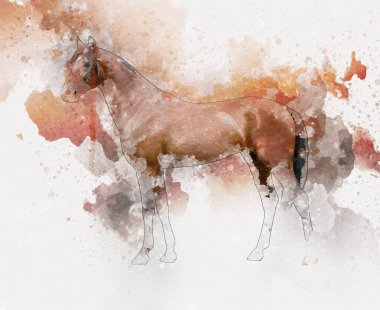 El yazması at başlı kalem çizim çizer grunge