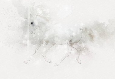 El yazması at başlı kalem çizim çizer grunge