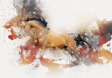 El yazması at başlı kalem çizim çizer grunge