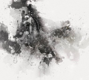 El yazması at başlı kalem çizim çizer grunge