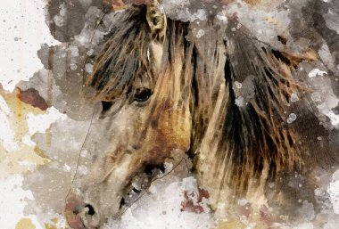 El yazması at başlı kalem çizim çizer grunge