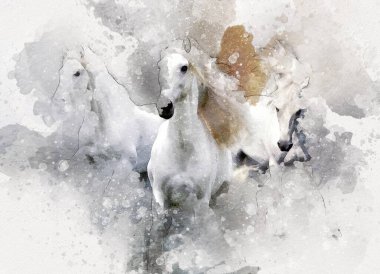 El yazması at başlı kalem çizim çizer grunge