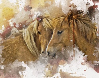 El yazması at başlı kalem çizim çizer grunge