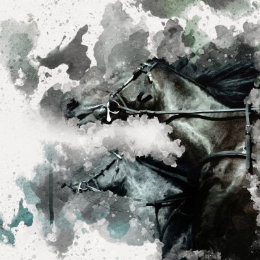 El yazması at başlı kalem çizim çizer grunge