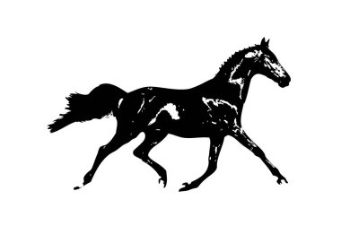 El yazması at başlı kalem çizim çizer grunge