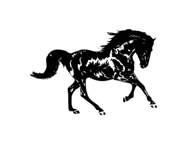 El yazması at başlı kalem çizim çizer grunge