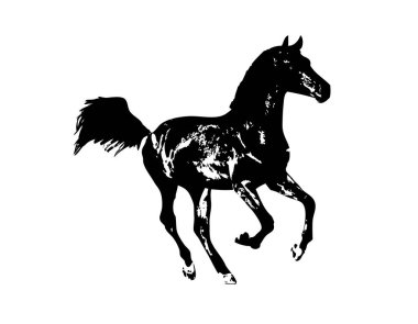 El yazması at başlı kalem çizim çizer grunge