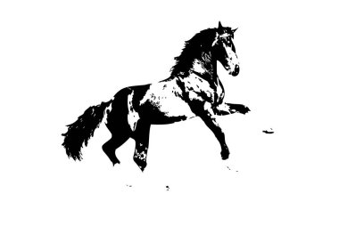 El yazması at başlı kalem çizim çizer grunge