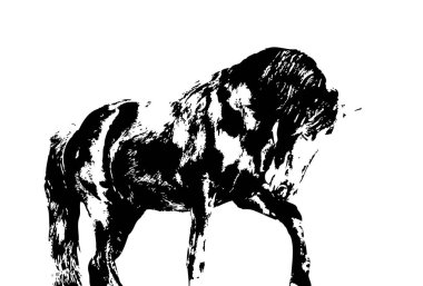 El yazması at başlı kalem çizim çizer grunge
