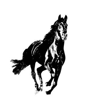 El yazması at başlı kalem çizim çizer grunge
