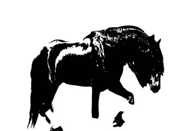 El yazması at başlı kalem çizim çizer grunge