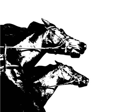 El yazması at başlı kalem çizim çizer grunge