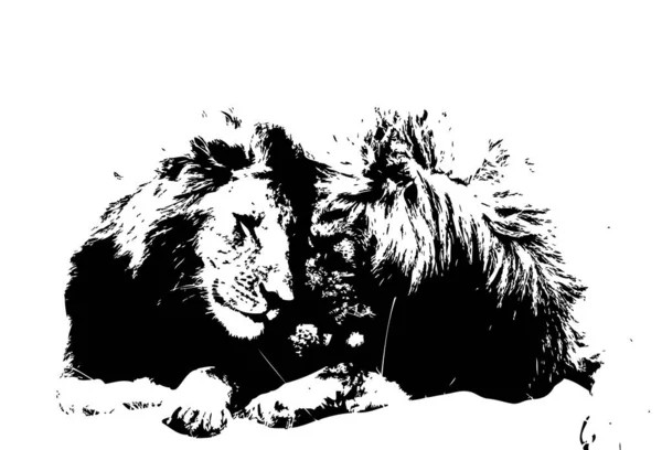 Λιοντάρι Τέχνη Εικονογράφηση Σχέδιο Grunge Vintage — Φωτογραφία Αρχείου