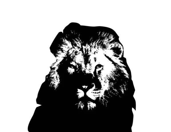 Lion Art Illustration Drawing Grunge Vintage — Stock Photo, Image