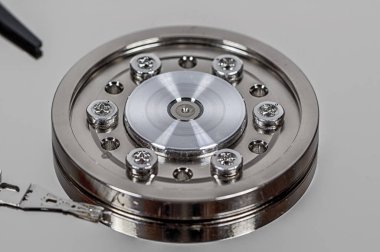 Portre üzerinde sabit disk iğ