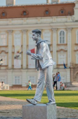 Adam gümüş kostüm