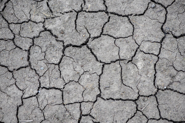 Абстрактная текстура. Сухая почва с трещинами
.