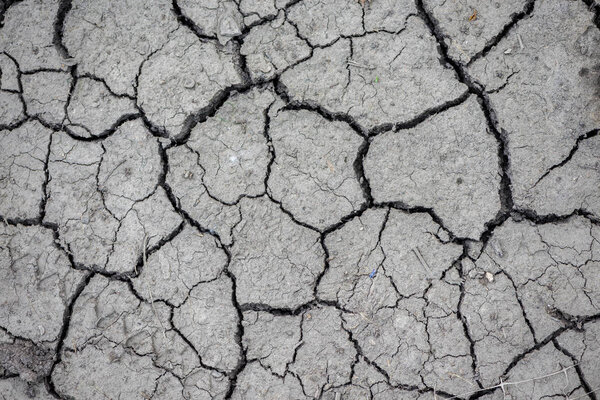 Абстрактная текстура. Сухая почва с трещинами
.