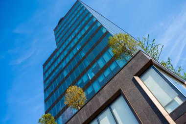 Bir sürü penceresi olan bir ofis binası manzarası. Terasında ağaçlar olan bir şirket binası..