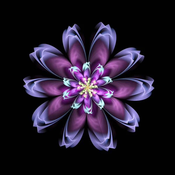 Flower abstract fractal design isolated on black background