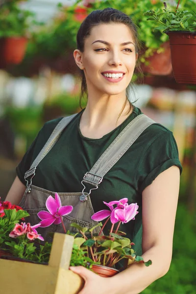 Splendido Giardiniere Femminile Che Tiene Fiori Una Cassa Sorridendo Primo — Foto Stock