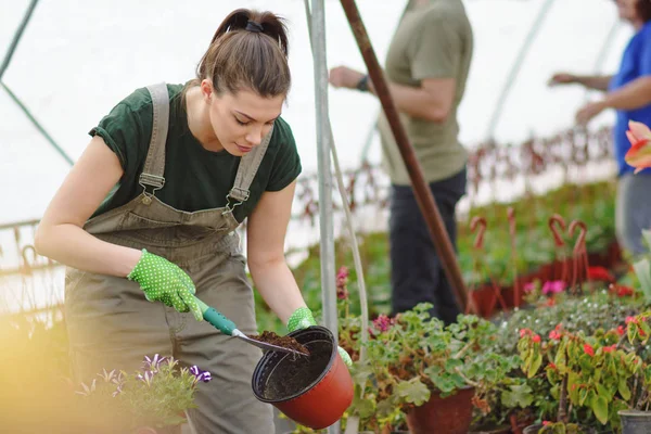 Giovane Donna Altre Persone Che Lavorano Serra Piantare Fiori Illuminazione — Foto Stock