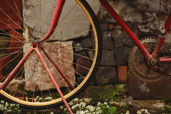 Environnement urbain, concept de transport écologique . — Photo