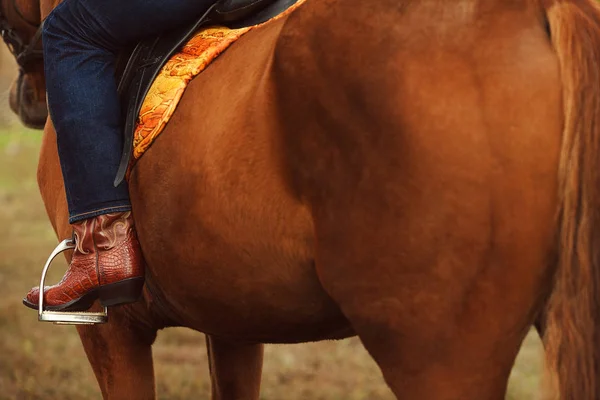 Concepto de rodeo del oeste americano. Hombre en pantalones vaqueros azules a caballo —  Fotos de Stock