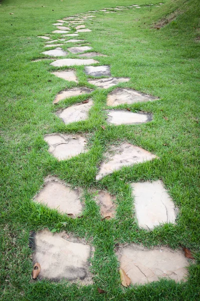 Stone path in lawn