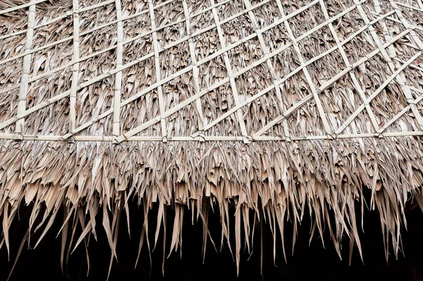 Textura del techo de paja —  Fotos de Stock