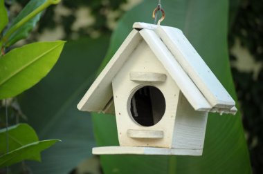 Ağaçta asılı ahşap kuş evi