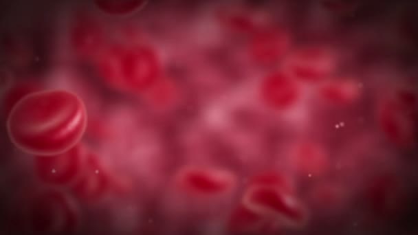 Rote Blutkörperchen rotieren. — Stockvideo
