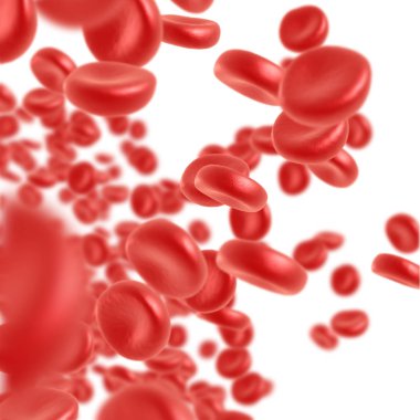 Kırmızı kan hücre akan