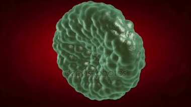 Yeşil hastalık kan hücresi döndürmek.