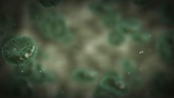 녹색 병 혈액 세포 회전. — 비디오